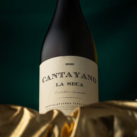 Discover Our Monthly Picks