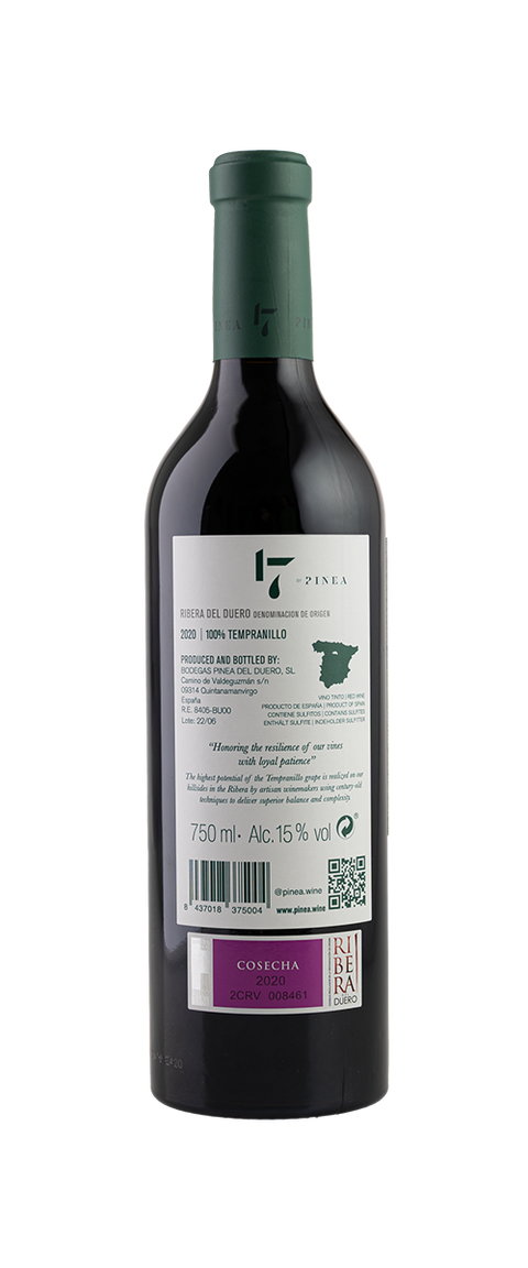 Pinea 17 by Pinea 2020