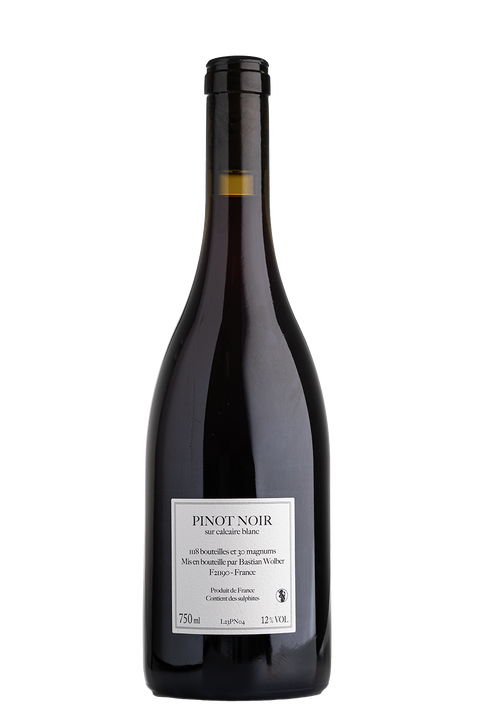 Bastian Wolber Pinot Noir 2023 VSIG - Rouge