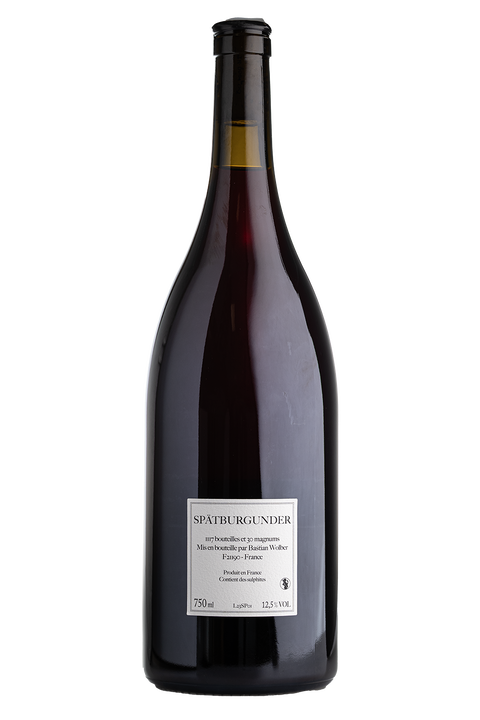 Bastian Wolber Spaetburgunder 2023 VSIG - Rouge MAGNUM