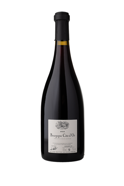 Charodon - Louis Vallet Bourgogne Chardonnay 2022 - Vins Des Dieux