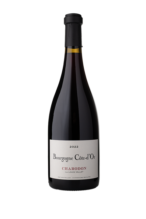 Charodon - Louis Vallet Bourgogne Chardonnay 2022 - Vins Des Dieux