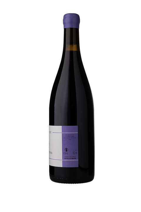Clément Dumont Syrah Les Grandes Pierres 2023 - Vins Des Dieux