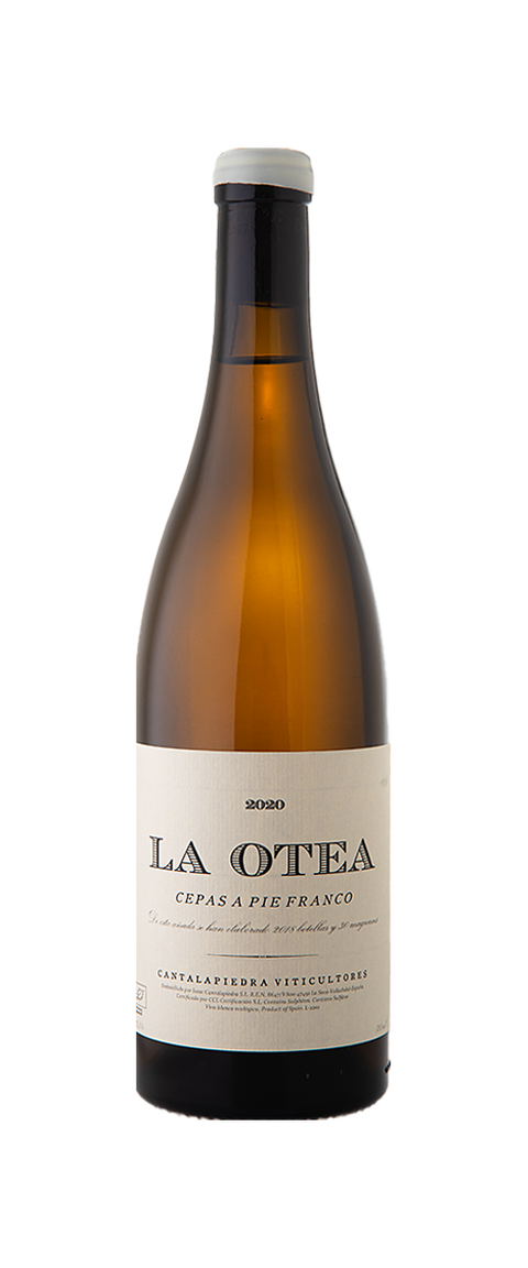 Cantalapiedra Otea 2021