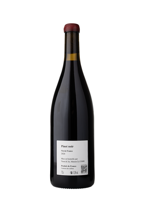 Maison Lá Pinot Noir 2024 - Vins Des Dieux