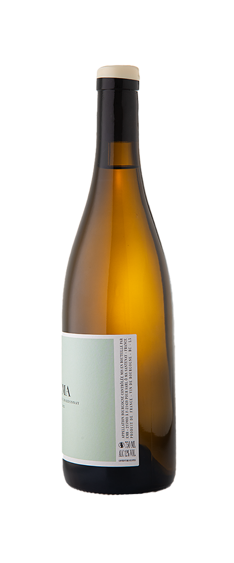 ÔMA - Tom Williams Bourgogne Blanc 2022