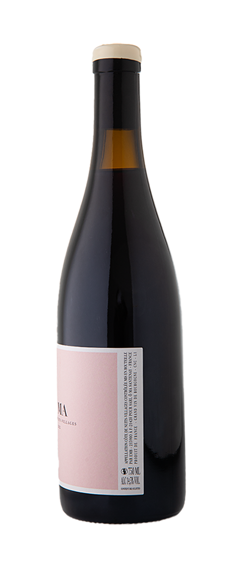 ÔMA - Tom Williams Côte de Nuits-Villages Rouge 2022