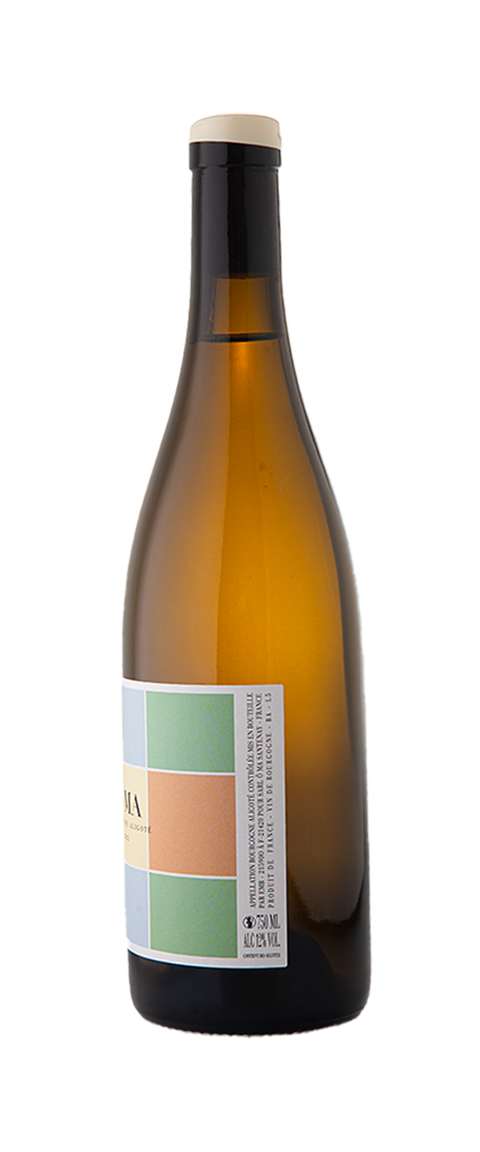 ÔMA - Tom Williams Bourgogne Aligoté 2022