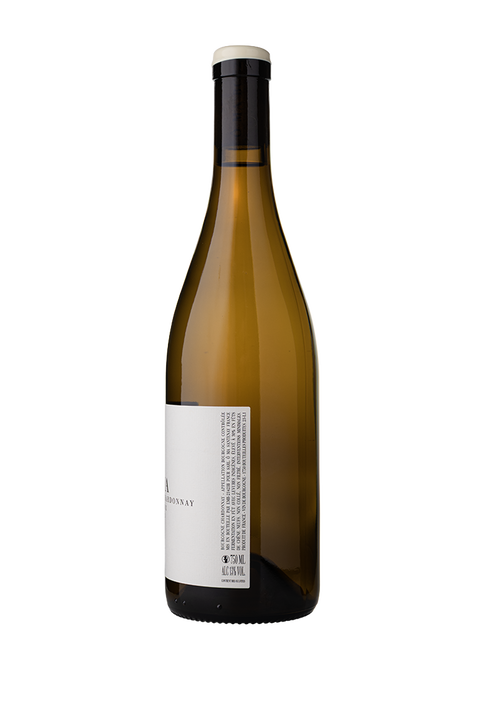 ÔMA - Tom Williams Bourgogne Blanc 2023 Cuvée X - Vins Des Dieux