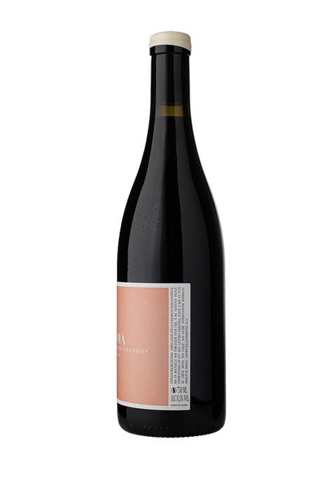 ÔMA - Tom Williams Côteaux Bourguignon Rouge 2023 - Vins Des Dieux