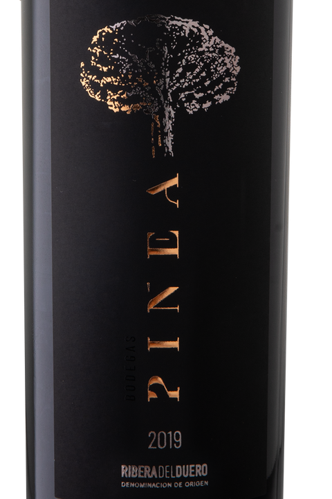Pinea 2019 (negro)