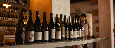 Barra de un bar de vinos con botellas de productores de Vins Des Dieux en fila